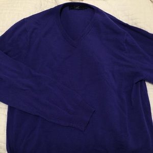 Purple J Crew 100% Merino V Neck Sweater
